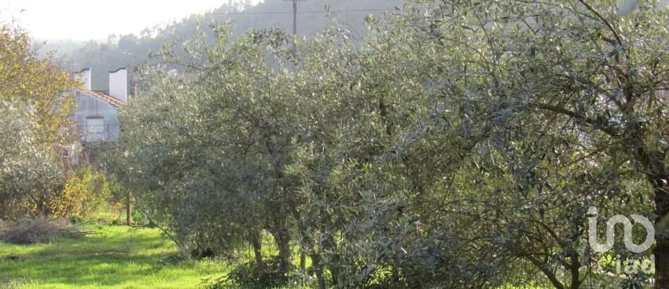 Land in Caranguejeira of 930 m²