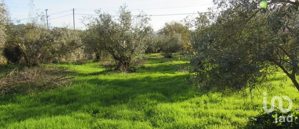 Land in Caranguejeira of 930 m²