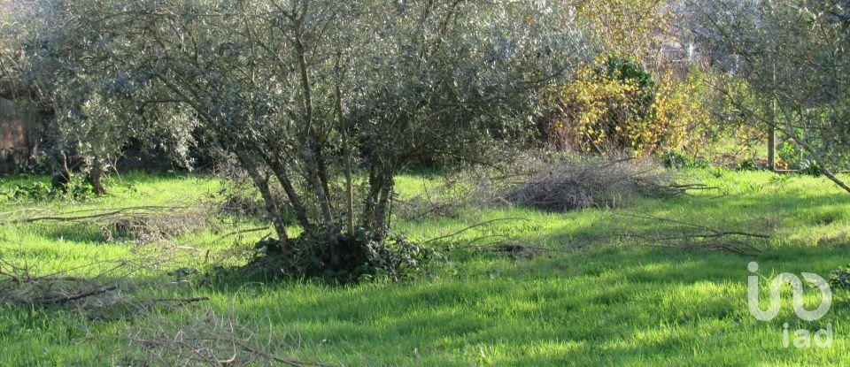 Land in Caranguejeira of 930 m²