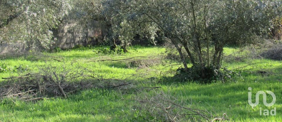 Land in Caranguejeira of 930 m²