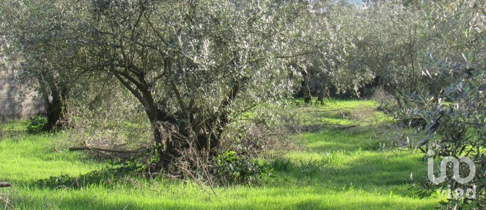 Land in Caranguejeira of 930 m²