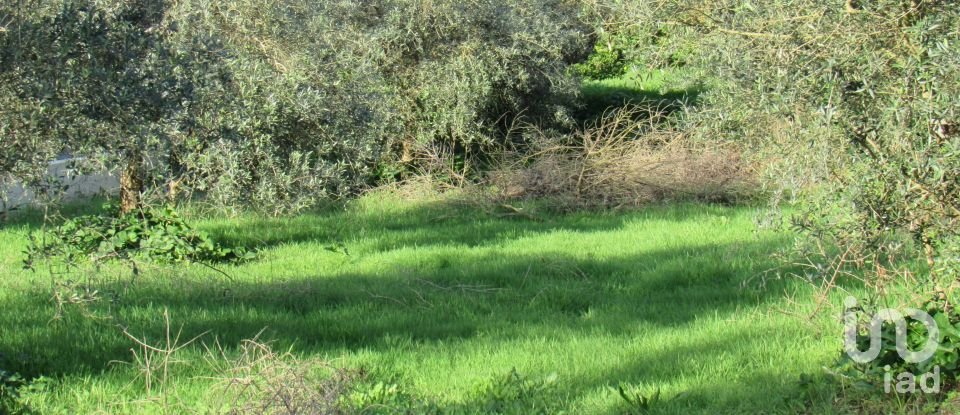 Land in Caranguejeira of 930 m²