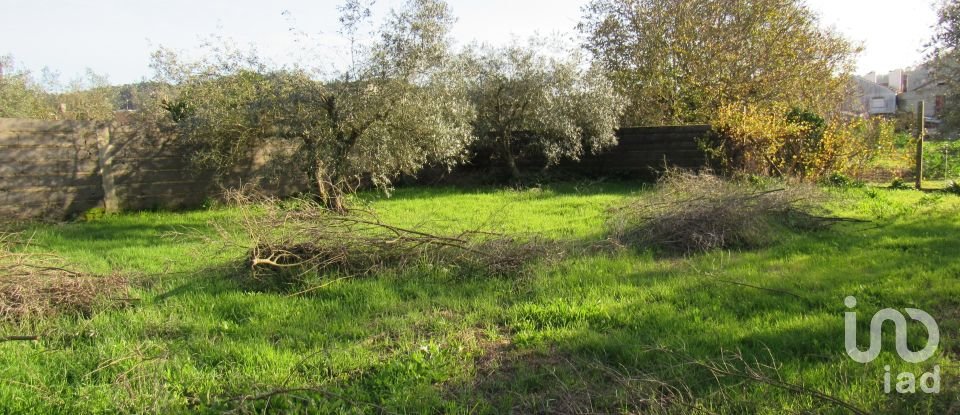 Land in Caranguejeira of 930 m²