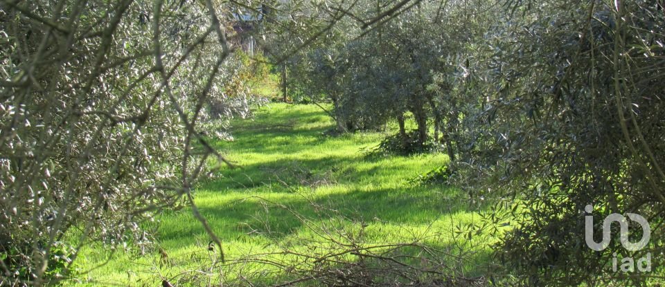 Land in Caranguejeira of 930 m²