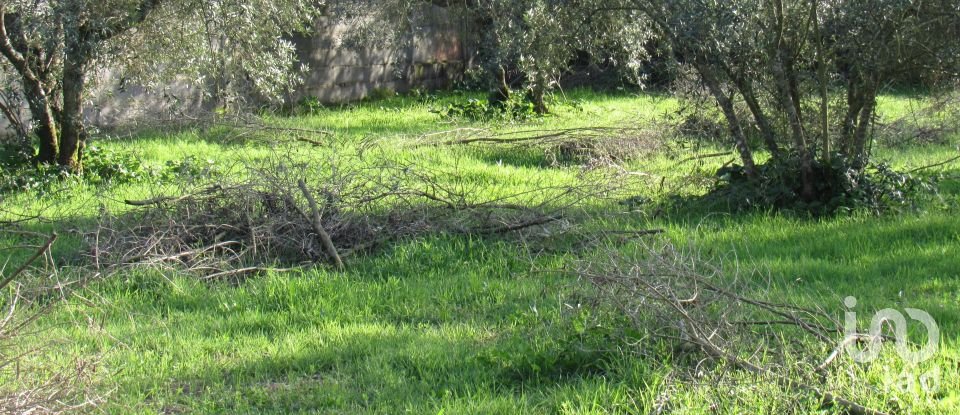 Land in Caranguejeira of 930 m²
