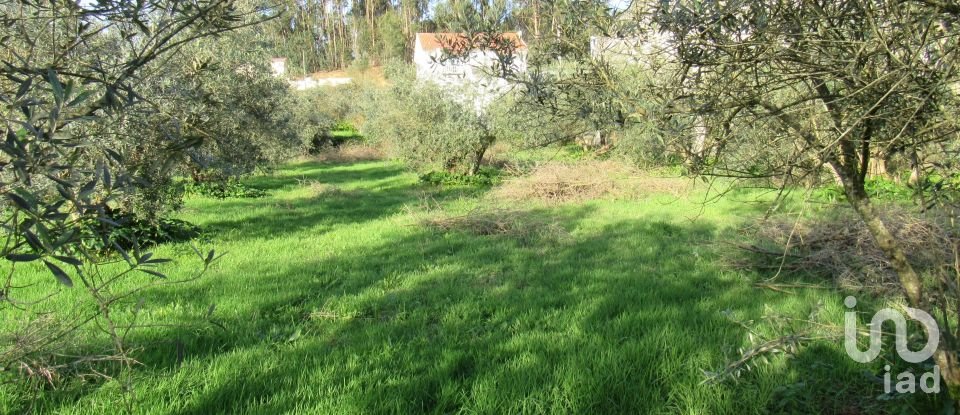 Land in Caranguejeira of 930 m²