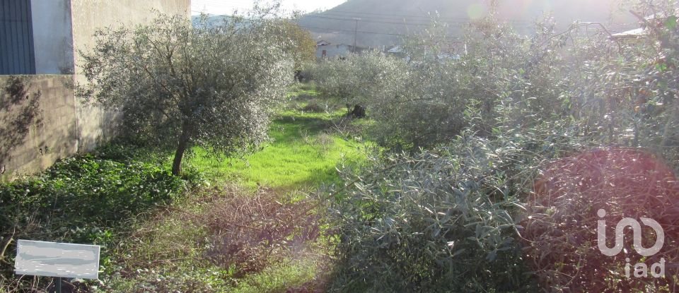 Land in Caranguejeira of 930 m²