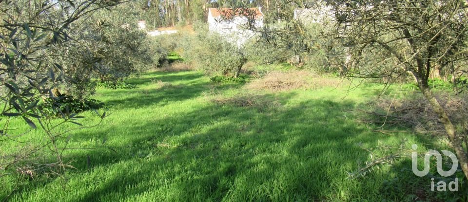 Land in Caranguejeira of 930 m²
