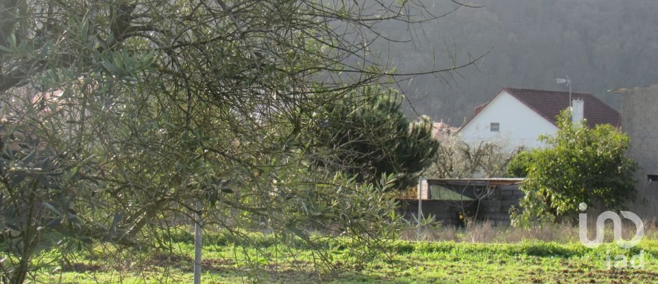 Land in Caranguejeira of 930 m²