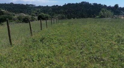Terrain à Mafra de 3 062 m²