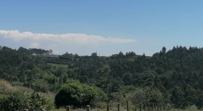 Terrain à Mafra de 3 062 m²