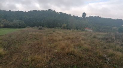 Terrain à Mafra de 3 062 m²