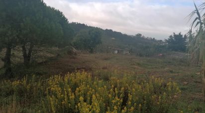 Terrain à Mafra de 3 062 m²