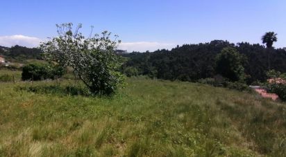 Terrain à Mafra de 3 062 m²