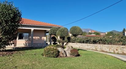 Traditional house T4 in Fontão of 578 m²