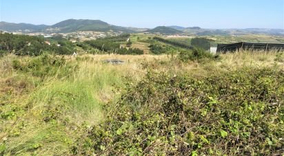Land in Igreja Nova e Cheleiros of 10,949 m²