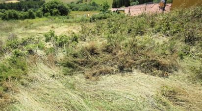 Land in Igreja Nova e Cheleiros of 10,949 m²