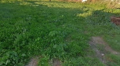 Terrain à Encarnação de 4 717 m²