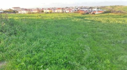 Terrain à Encarnação de 4 717 m²