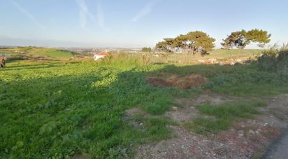 Terrain à Encarnação de 4 717 m²