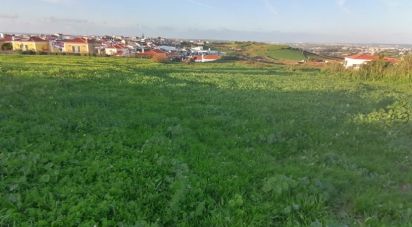 Terrain à Encarnação de 4 717 m²