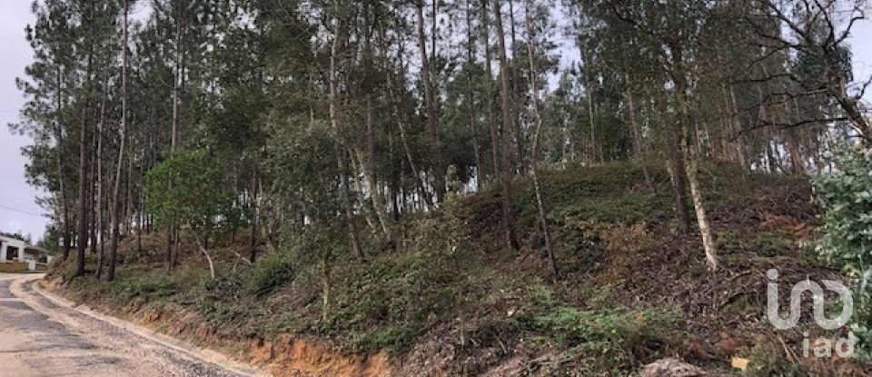 Building plot in Marinha Grande of 4,547 m²