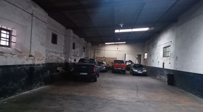 Warehouse in Ponte de Sor, Tramaga e Vale de Açor of 485 m²
