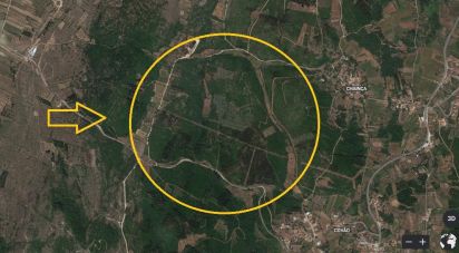 Terrain agricole à São Miguel, Santa Eufémia e Rabaçal de 69 250 m²