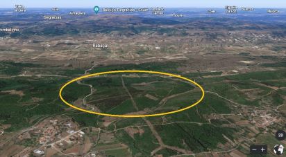 Terrain agricole à São Miguel, Santa Eufémia e Rabaçal de 69 250 m²