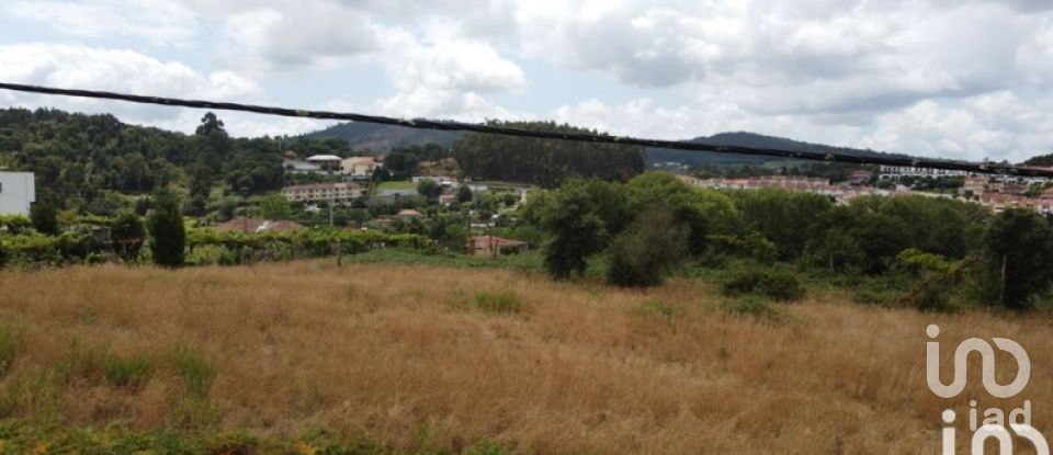 Terrain à bâtir à Braga (Maximinos, Sé E Cividade) de 8 829 m²