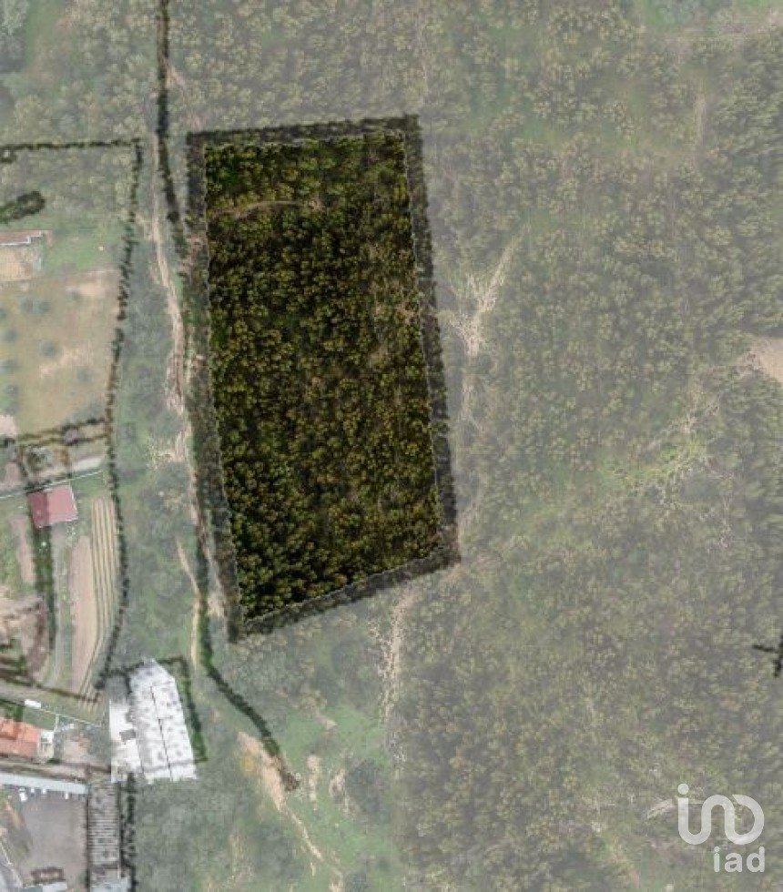 Land in Palmela of 8,000 m²