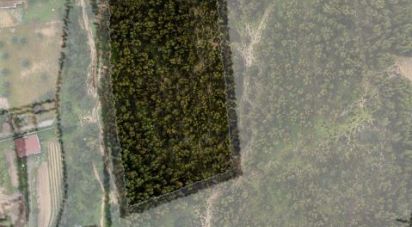 Land in Palmela of 8,000 m²
