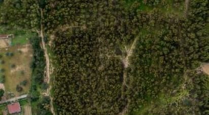 Terrain à Palmela de 8 000 m²