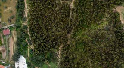 Terrain à Palmela de 8 000 m²