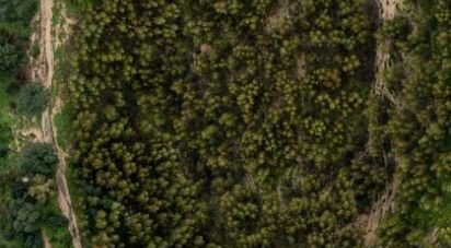 Terrain à Palmela de 8 000 m²