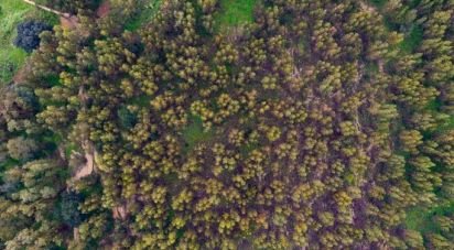 Terrain à Palmela de 8 000 m²