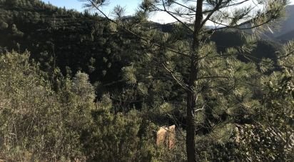 Terrain à Alferce de 224 180 m²