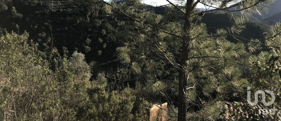 Terreno em Alferce de 224 180 m²