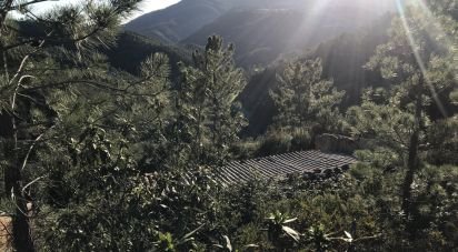 Terrain à Alferce de 224 180 m²