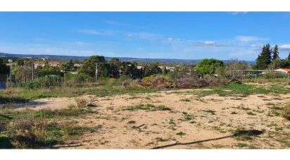 Terrain à bâtir à Luz de 3 130 m²