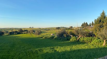 Terrain à Ciladas de 6 500 m²