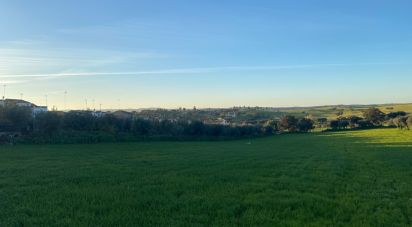 Terrain à Ciladas de 6 500 m²