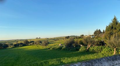 Terrain à Ciladas de 6 500 m²