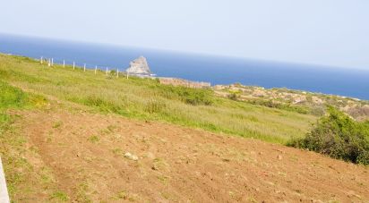 Terrain à Porto Santo de 3 664 m²