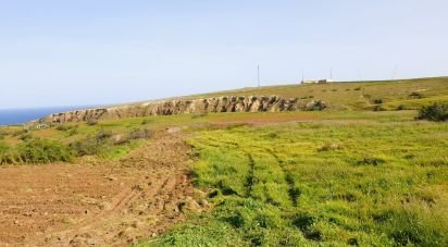 Terrain à Porto Santo de 3 664 m²