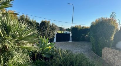 Maison T4 à Porches de 497 m²