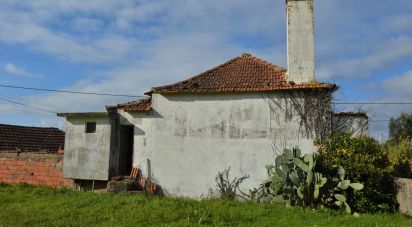 Maison T2 à Espinhal de 180 m²