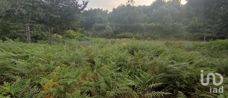 Terreno em Lavradas de 7 070 m²