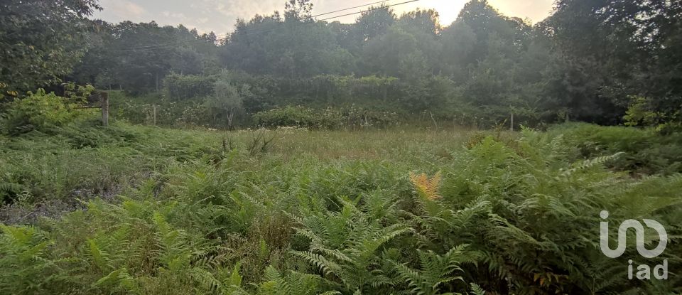 Terreno em Lavradas de 7 070 m²