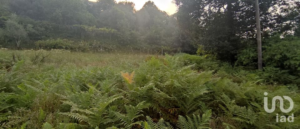 Terreno em Lavradas de 7 070 m²